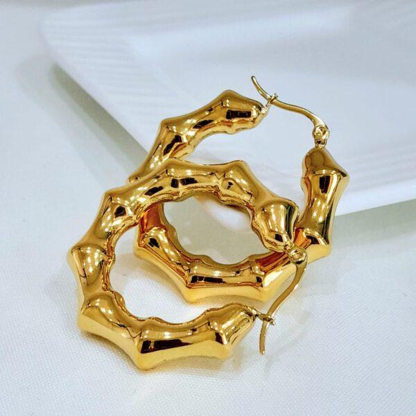 Accessories Earring Stainless Steel - Image 2